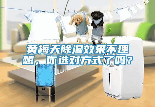 黃梅天除濕效果不理想，你選對(duì)方式了嗎？