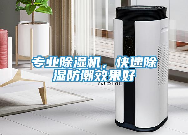 專(zhuān)業(yè)除濕機(jī)，快速除濕防潮效果好