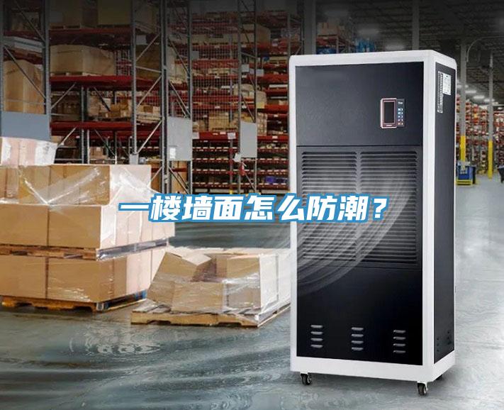 一樓墻面怎么防潮？