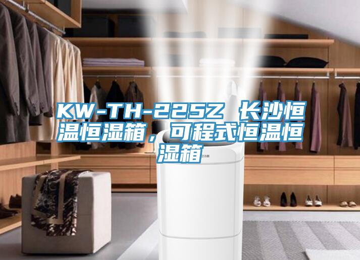 KW-TH-225Z 長沙恒溫恒濕箱，可程式恒溫恒濕箱