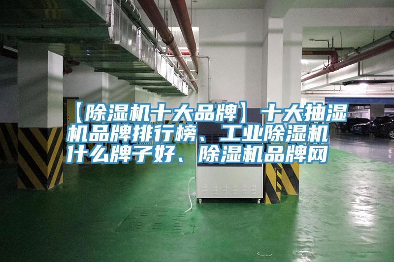 【除濕機(jī)十大品牌】十大抽濕機(jī)品牌排行榜、工業(yè)除濕機(jī)什么牌子好、除濕機(jī)品牌網(wǎng)