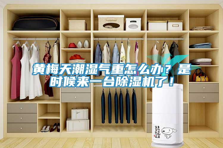 黃梅天潮濕氣重怎么辦？是時(shí)候來(lái)一臺(tái)除濕機(jī)了！