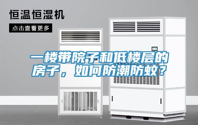 一樓帶院子和低樓層的房子，如何防潮防蚊？