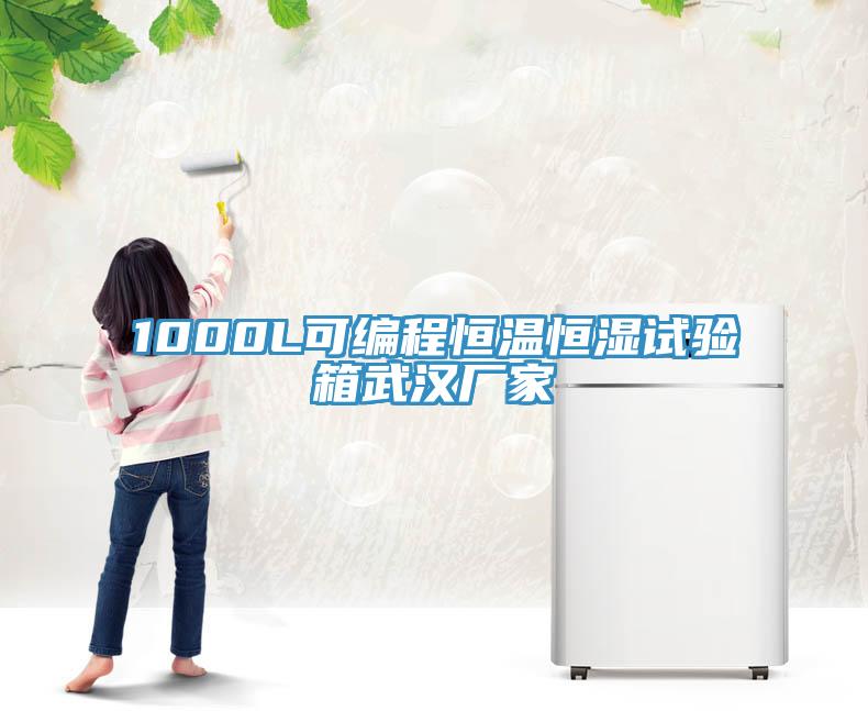 1000L可編程恒溫恒濕試驗(yàn)箱武漢廠(chǎng)家