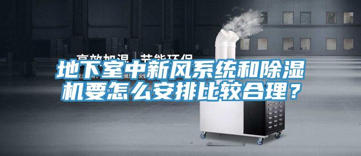 地下室中新風系統(tǒng)和除濕機要怎么安排比較合理？