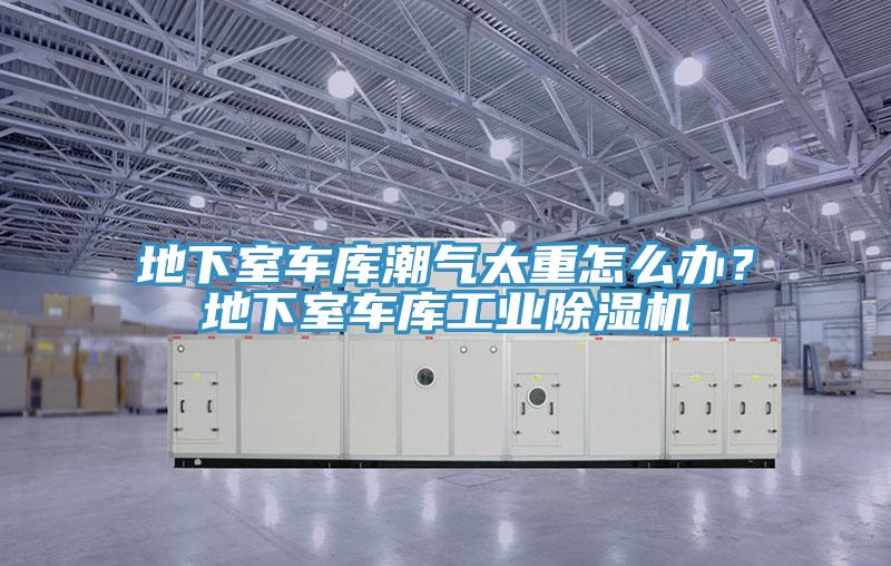 地下室車庫潮氣太重怎么辦？地下室車庫工業(yè)除濕機(jī)
