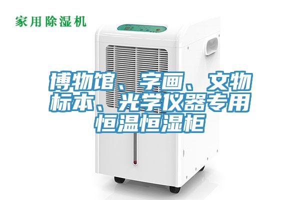 博物館、字畫(huà)、文物標(biāo)本、光學(xué)儀器專用恒溫恒濕柜