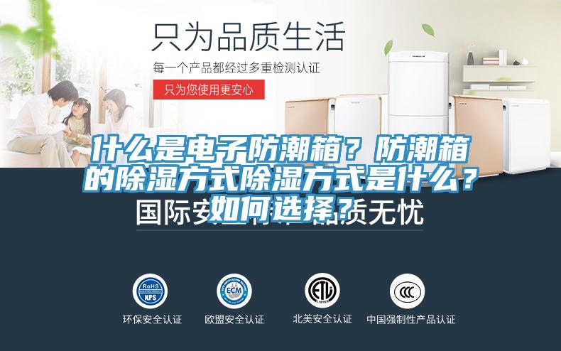 什么是電子防潮箱？防潮箱的除濕方式除濕方式是什么？如何選擇？