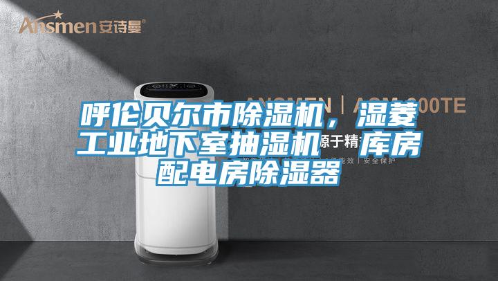 呼倫貝爾市除濕機(jī)，濕菱工業(yè)地下室抽濕機(jī)  庫房配電房除濕器
