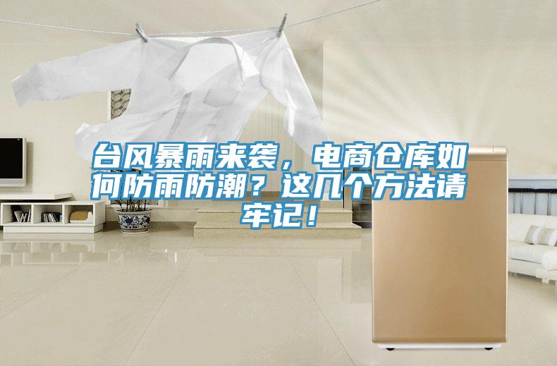 臺(tái)風(fēng)暴雨來襲，電商倉庫如何防雨防潮？這幾個(gè)方法請(qǐng)牢記！
