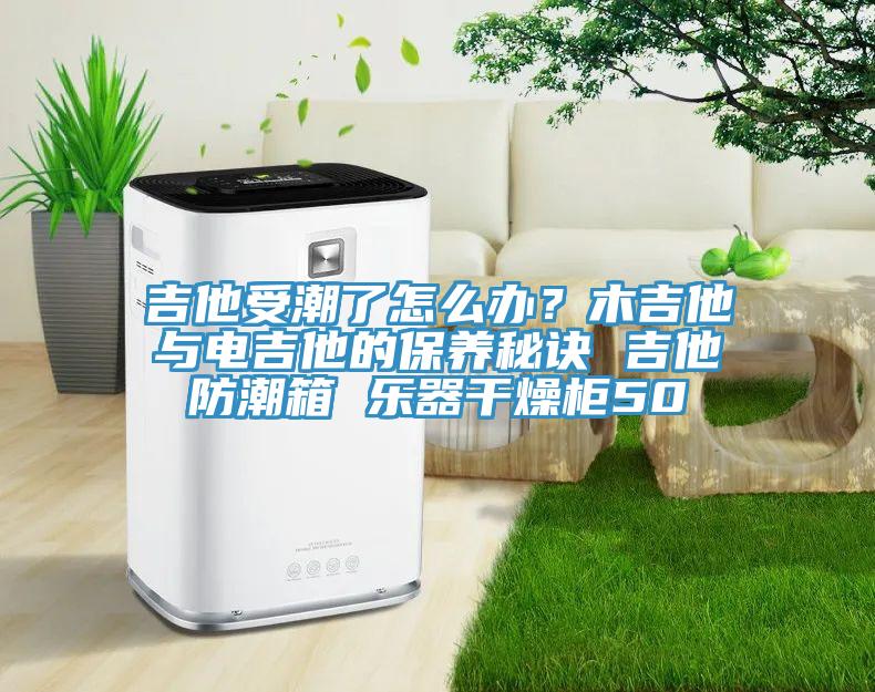 吉他受潮了怎么辦？木吉他與電吉他的保養(yǎng)秘訣 吉他防潮箱 樂器干燥柜50