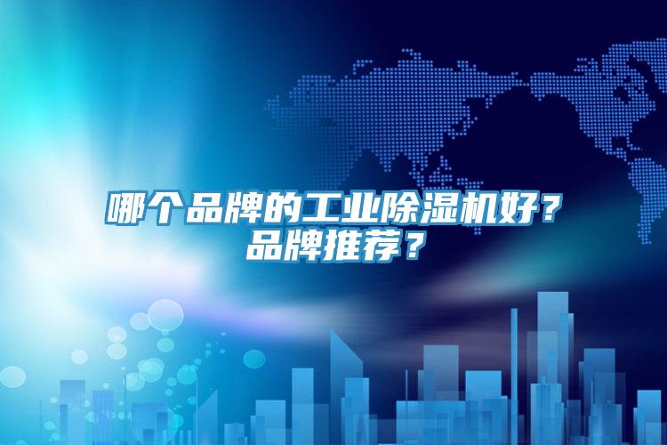 哪個品牌的工業(yè)除濕機好？品牌推薦？