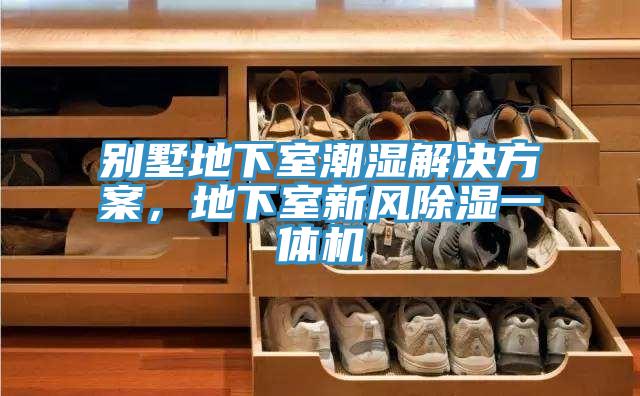 別墅地下室潮濕解決方案，地下室新風(fēng)除濕一體機(jī)