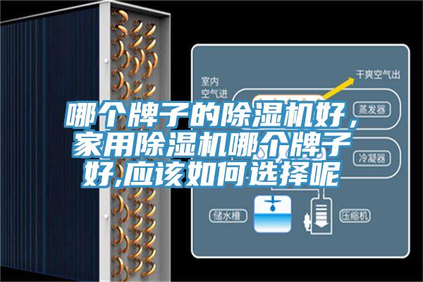 哪個牌子的除濕機好，家用除濕機哪個牌子好,應(yīng)該如何選擇呢