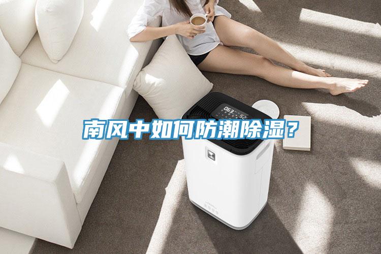 南風(fēng)中如何防潮除濕？