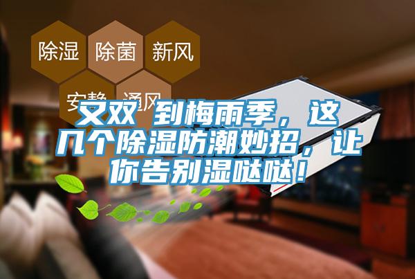 又雙叒到梅雨季，這幾個除濕防潮妙招，讓你告別濕噠噠！