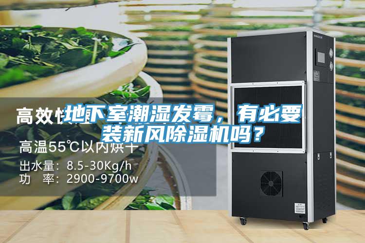 地下室潮濕發(fā)霉，有必要裝新風除濕機嗎？