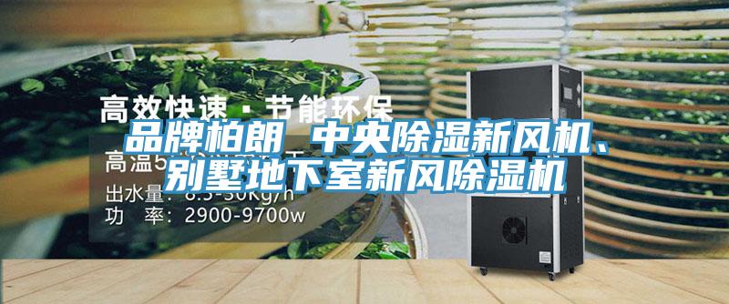 品牌柏朗 中央除濕新風(fēng)機、別墅地下室新風(fēng)除濕機
