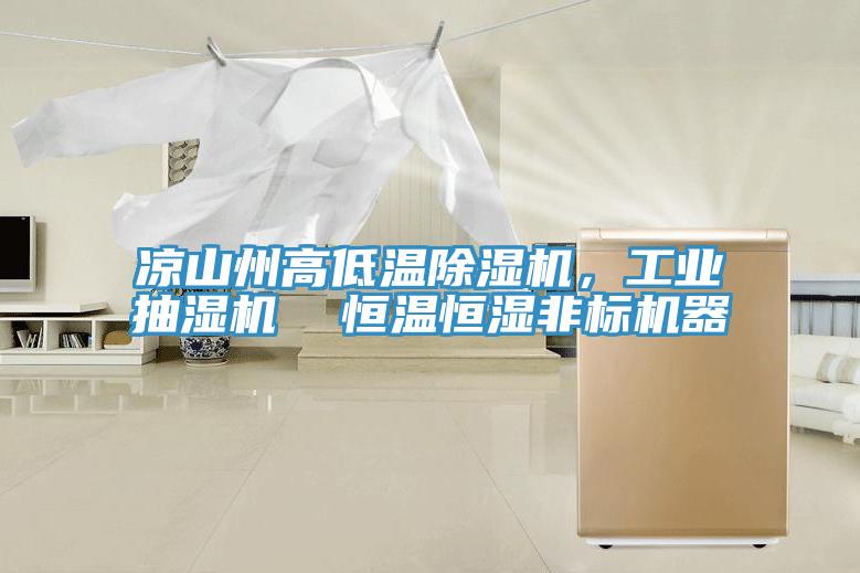 涼山州高低溫除濕機，工業(yè)抽濕機  恒溫恒濕非標機器
