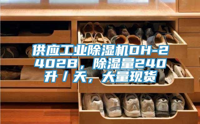 供應(yīng)工業(yè)除濕機(jī)DH-2402B，除濕量240升／天，大量現(xiàn)貨