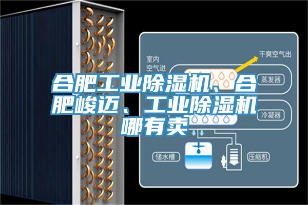 合肥工業(yè)除濕機、合肥峻邁、工業(yè)除濕機哪有賣