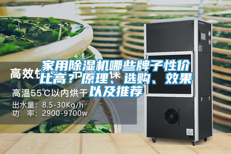 家用除濕機哪些牌子性價比高？原理、選購、效果以及推薦