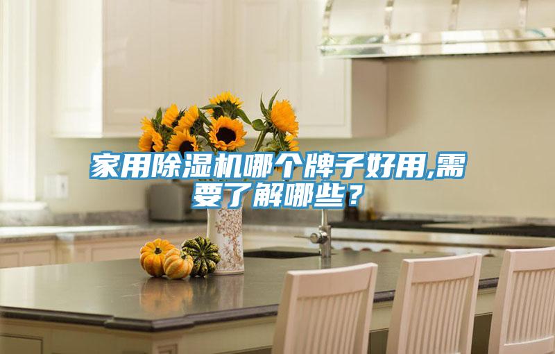 家用除濕機(jī)哪個(gè)牌子好用,需要了解哪些？