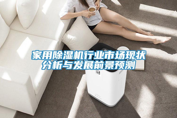 家用除濕機行業(yè)市場現(xiàn)狀分析與發(fā)展前景預測