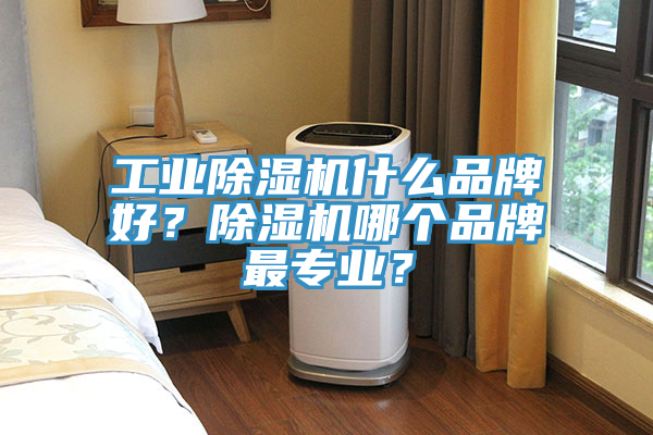 工業(yè)除濕機(jī)什么品牌好？除濕機(jī)哪個(gè)品牌最專業(yè)？