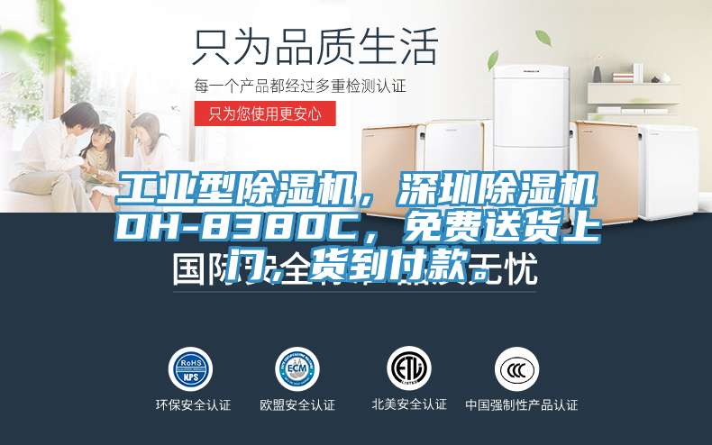 工業(yè)型除濕機(jī)，深圳除濕機(jī)DH-8380C，免費(fèi)送貨上門(mén)，貨到付款。