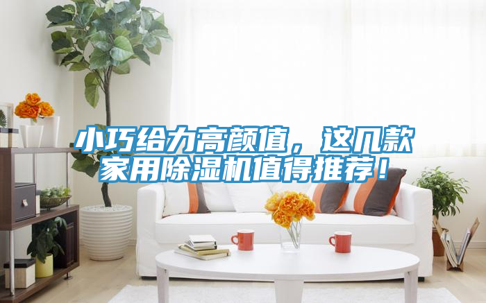 小巧給力高顏值，這幾款家用除濕機值得推薦！