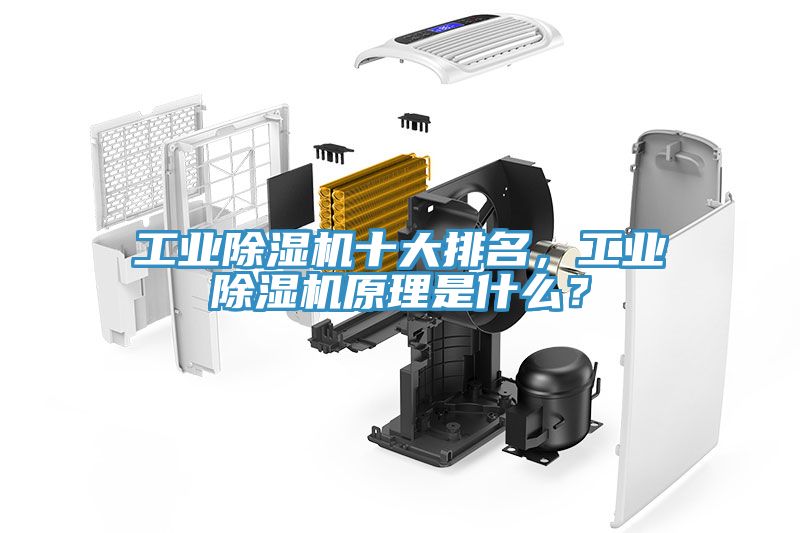 工業(yè)除濕機(jī)十大排名，工業(yè)除濕機(jī)原理是什么？