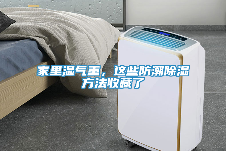 家里濕氣重，這些防潮除濕方法收藏了