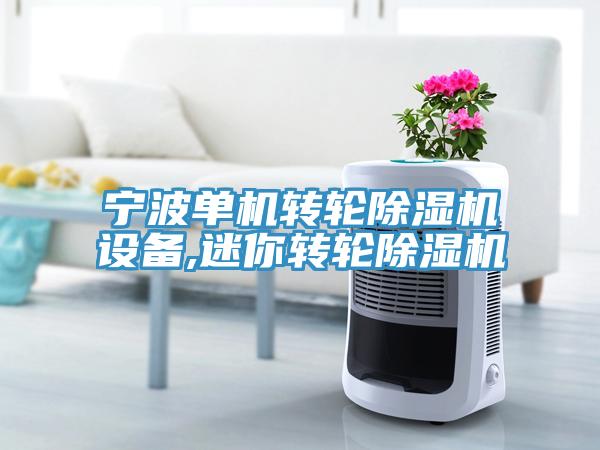 寧波單機轉(zhuǎn)輪除濕機設備,迷你轉(zhuǎn)輪除濕機