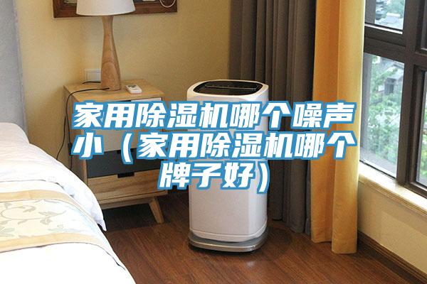 家用除濕機(jī)哪個(gè)噪聲?。矣贸凉駲C(jī)哪個(gè)牌子好）