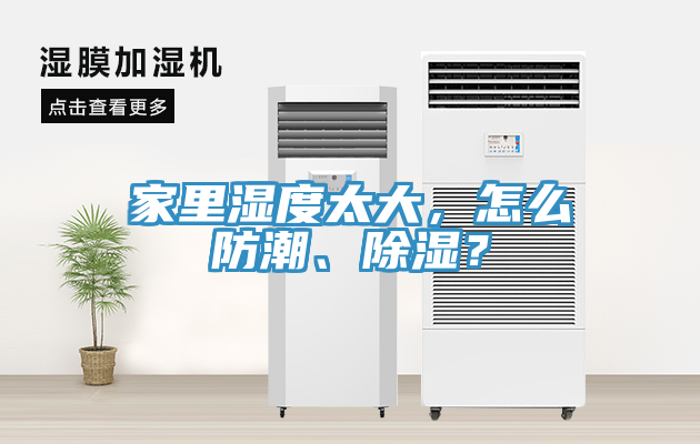 家里濕度太大，怎么防潮、除濕？