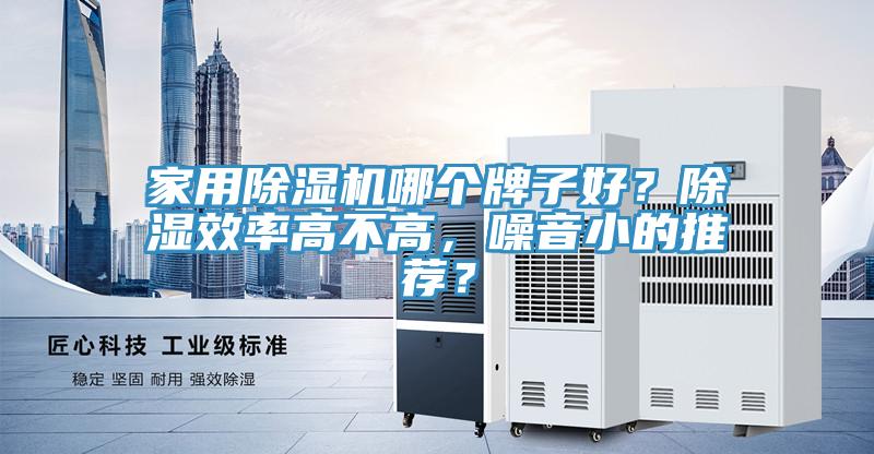 家用除濕機哪個牌子好？除濕效率高不高，噪音小的推薦？
