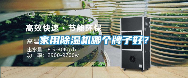 家用除濕機(jī)哪個(gè)牌子好？