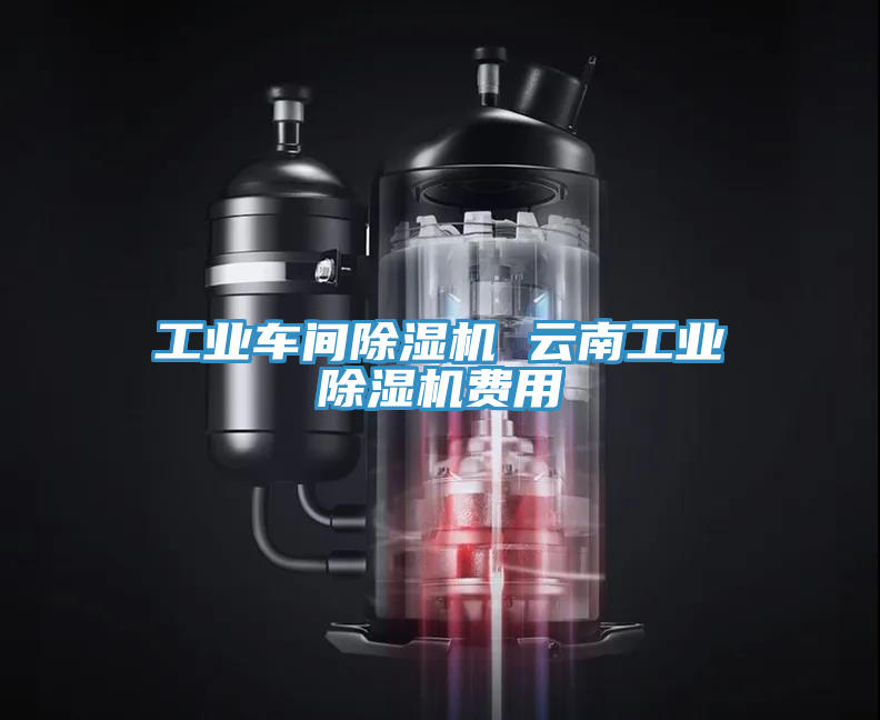 工業(yè)車間除濕機(jī) 云南工業(yè)除濕機(jī)費用