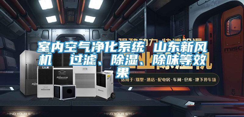 室內(nèi)空氣凈化系統(tǒng) 山東新風(fēng)機  過濾、除濕、除味等效果