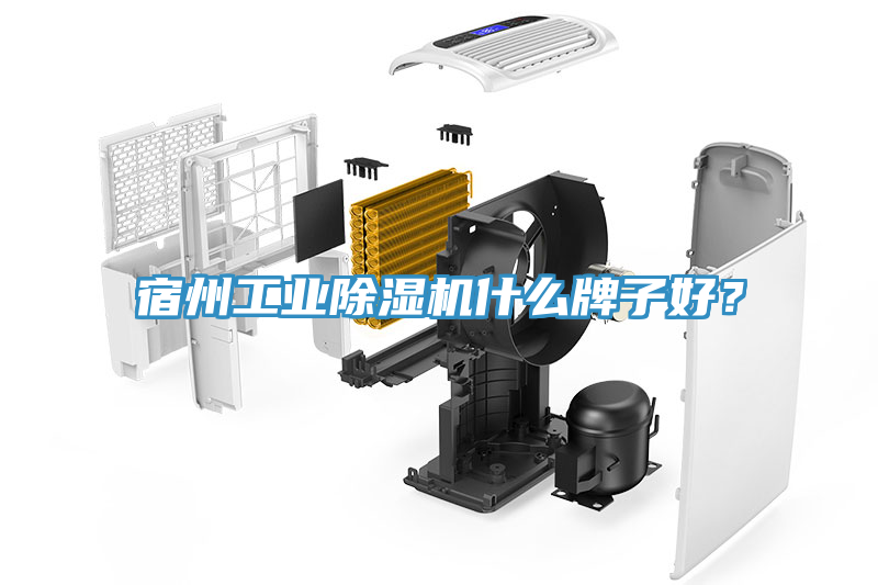 宿州工業(yè)除濕機(jī)什么牌子好？