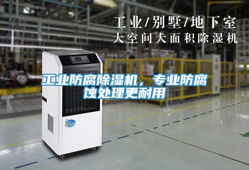 工業(yè)防腐除濕機，專業(yè)防腐蝕處理更耐用