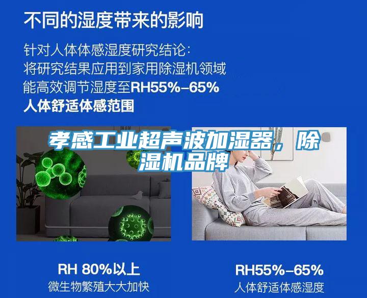 孝感工業(yè)超聲波加濕器，除濕機品牌
