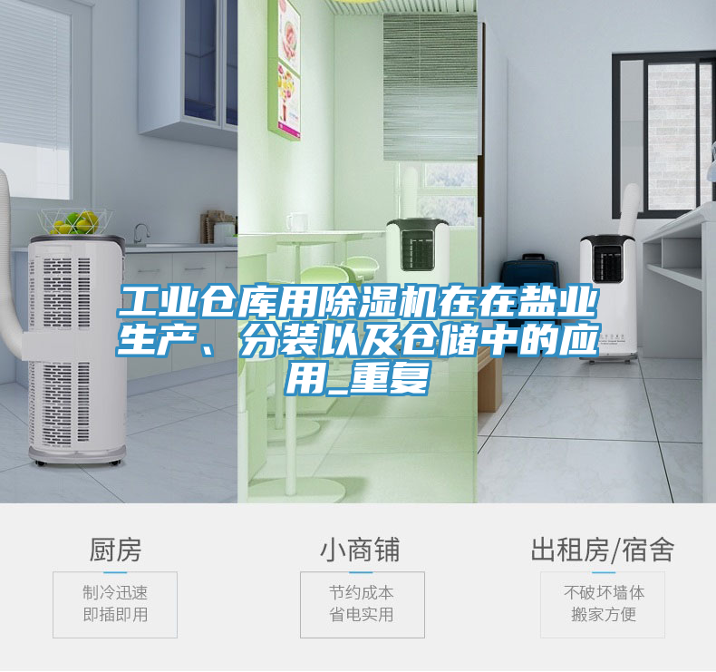 工業(yè)倉庫用除濕機(jī)在在鹽業(yè)生產(chǎn)、分裝以及倉儲(chǔ)中的應(yīng)用_重復(fù)