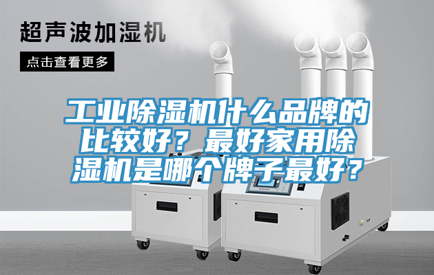 工業(yè)除濕機(jī)什么品牌的比較好？最好家用除濕機(jī)是哪個(gè)牌子最好？