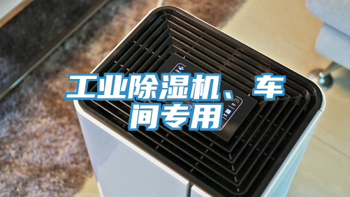 工業(yè)除濕機、車間專用