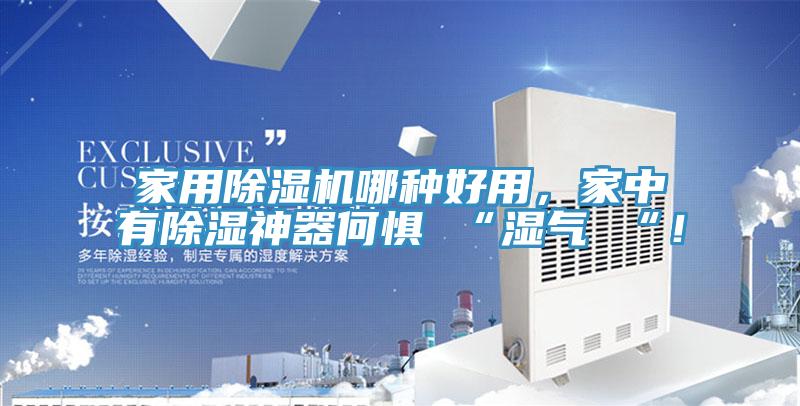 家用除濕機哪種好用，家中有除濕神器何懼 “濕氣 “！