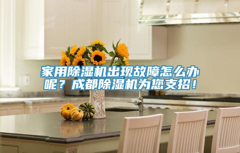 家用除濕機出現(xiàn)故障怎么辦呢？成都除濕機為您支招！
