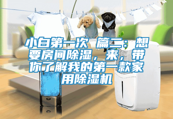 小白第一次 篇二：想要房間除濕，來，帶你了解我的第一款家用除濕機