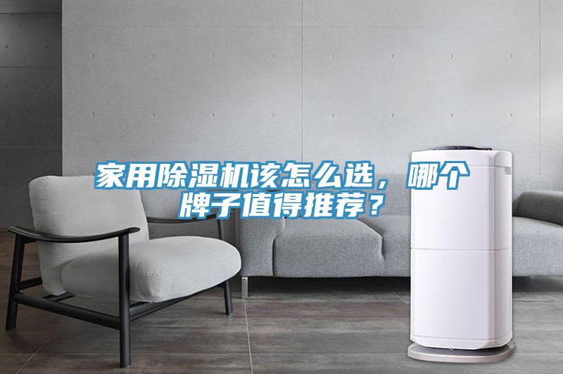 家用除濕機該怎么選，哪個牌子值得推薦？